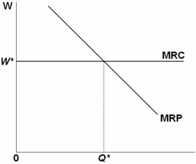   Refer to the above graph.The producer illustrated: A)  is a monopsonist since MR = P for every unit sold. B)  is a pure competitor in the output market since it must pay the market wage. C)  is a monopsonist in its output market since it has control over the market wage rate. D)  hires labor in a competitive market since it must pay each worker W*,the market wage rate.