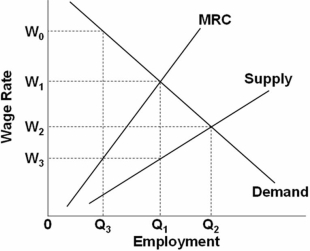   Refer to the above graph.Comparing monopsony with pure competition in the sale of output and hiring of labor services,the difference in the wage rate will be: A)  W<sub>0</sub> - W<sub>1</sub>. B)  W<sub>1</sub> - W<sub>2</sub>. C)  W<sub>2</sub> - W<sub>3</sub>. D)  W<sub>1</sub> - W<sub>3</sub>.