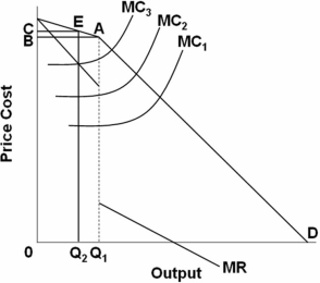   On the above graph,if the oligopolist's MC curve shifts from MC<sub>1</sub> to MC<sub>2</sub>,the firm will charge: A)  a higher price and total revenue will increase. B)  the same price and sell more output;total revenue will increase. C)  the same price and sell the same amount of output;total revenue will remain the same. D)  a higher price and sell less output;it can't be determined whether total revenue will increase.