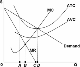   On the graph above,what is the profit-maximizing level of output for a pure monopolist? A)  A B)  B C)  C D)  D