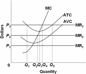   Refer to the above diagram.All data are for the short run.The firm represented in this diagram is selling under conditions of: A)  pure monopoly. B)  pure competition. C)  monopolistic competition. D)  oligopoly.