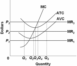  Refer to the above diagram.All data are for the short run.If product price is P<sub>2</sub>,the firm will: A)  close down to avoid a loss. B)  produce Q<sub>2</sub> units and make an economic profit. C)  produce Q<sub>5</sub> units and break even. D)  produce Q<sub>2</sub> units and suffer a loss.
