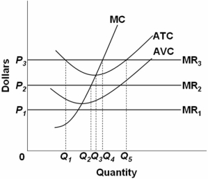   Refer to the above diagram.All data are for the short run.Which of the following statements is correct? A)  Production is profitable only when price is at P<sub>2</sub>. B)  Average fixed cost is P<sub>1</sub>P<sub>3</sub> at output Q<sub>1</sub>. C)  The firm will produce an output of Q<sub>1</sub> when price is P<sub>1</sub>. D)  At price P<sub>1</sub>,the firm will close down.