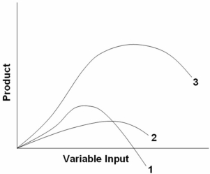   In the above diagram curves 1,2,and 3 represent the: A)  average,marginal,and total product curves respectively. B)  marginal,average,and total product curves respectively. C)  total,average,and marginal product curves respectively. D)  total,marginal,and average product curves respectively.