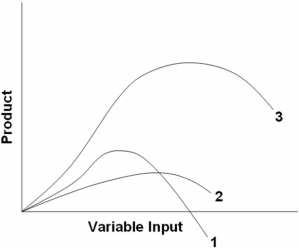   The above diagram suggests that: A)  when marginal product is zero,total product is at a minimum. B)  when marginal product lies above average product,average product is rising. C)  when marginal product lies below average product,average product is rising. D)  when total product is at a maximum,so are marginal product and average product.
