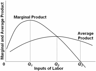   In the above diagram the range of diminishing marginal returns is: A)  0Q<sub>3</sub>. B)  0Q<sub>2</sub>. C)  Q<sub>1</sub>Q<sub>2</sub>. D)  Q<sub>1</sub>Q<sub>3</sub>.