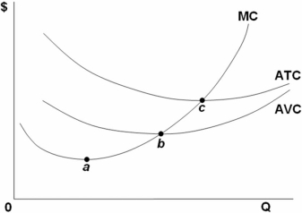   Refer to the above diagram.The profit-maximizing level of output for this firm: A)  is at point a. B)  is at point b. C)  is at point c. D)  cannot be determined from the information given.