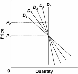   Refer to the figure above.Which demand curve above is perfectly inelastic? A)  D<sub>2</sub> B)  D<sub>3</sub> C)  D<sub>4</sub> D)  D<sub>5</sub>