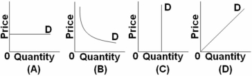   Refer to the above graphs.Which shows a perfectly elastic demand curve? A)  Graph A B)  Graph B C)  Graph C D)  Graph D