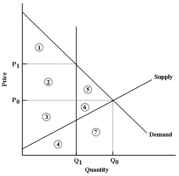 <strong>The diagram below shows the market for litres of milk. FIGURE 5-8 Refer to Figure 5-8. Suppose that a binding output quota is imposed on this market at quantity Q₁.The loss in economic surplus due to the quota is equal to</strong> A) areas 5 and 6. B) areas 2 and 5. C) areas 5, 6 and 7. D) areas 1, 2 and 3. E) area 1.