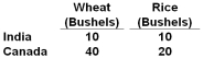 The productivity table given below shows how many bushels of either wheat or rice can be produced in India and Canada with 1 unit of input. To achieve gains from specialization and trade:   A)  India should export rice to Canada and import Canadian wheat B)  India should export wheat to Canada and import Canadian rice C)  Canada should produce both wheat and rice and not trade with India D)  India cannot offer any benefits to Canada from trading with her