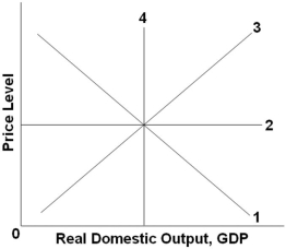   Refer to the graph above. The long-run aggregate supply curve would be represented by which line? A)  1 B)  2 C)  3 D)  4