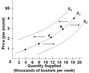   Refer to the figure above, which shows three supply curves for corn. Which of the following would cause the supply of corn to shift from S<sub>1</sub> to S<sub>2</sub>? A)  An increase in the price of fertilizer B)  A change in consumer tastes away from cornbread C)  A decrease in consumer incomes, assuming corn is a normal good D)  The development of a more effective insecticide against corn rootworm