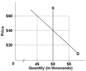 The graph below shows the market for tickets to a  Final Four  sports event. Assume that there is only one kind of ticket to the event.   Refer to the above graph for the event-ticket market. A scalpers' market will exist if the event organizers set the official ticket price at: A)  $50 B)  $20 C)  $40 D)  $60