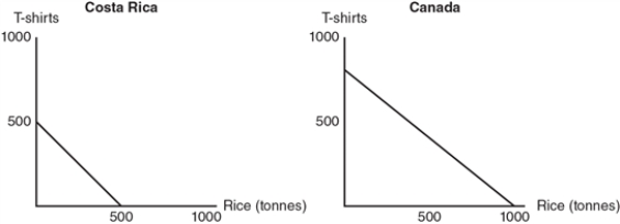 Exhibit 2-3    -Refer to the exhibit.In Costa Rica, what is the opportunity cost of 1 tonne of rice?   A)  1/2 of a T-shirt  B)  3/4 of a T-shirt  C)  1 T-shirt  D)  1 1/2 T-shirts