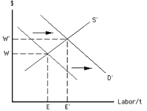 Exhibit 12-8    -Which of the following does Exhibit 12-8 illustrate? A)  The demand for labor increases and wages increase when a union disbands. B)  The supply of labor increases and wages increase when a union disbands. C)  Demanders of labor must pay higher wages after a craft union forms. D)  Demanders of labor must pay higher wages after an industrial union forms. E)  A union causes the productivity of labor to increase,causing an increase in the firm's demand for labor.