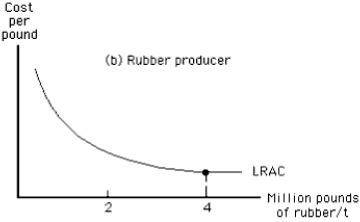 Exhibit 14-1      -Which of the following is indicated in Exhibit 14-1? A)  Rubber is cheaper to produce than tires. B)  The total cost of producing 100,000 tires is greater than the total cost of producing 200,000 tires. C)  The minimum efficient scale of producing rubber is 4 million pounds. D)  The minimum efficient scale of producing tires is greater than 200,000 tires. E)  The marginal cost of the 200,000th tire must exceed the average cost of 200,000 tires.