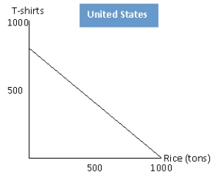 NARRBEGIN: Exhibit 2-10 Exhibit 2-10      -Refer to exhibit 2-10. The United States has an absolute advantage in bothe the production of T-shirts and rice.