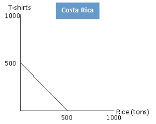Exhibit 2-10      -Refer to exhibit 2-10. In Costa Rica the opportunity cost of 1 ton of rice is: A) 1/2 of a T-shirt B) 3/4 of a T-shirt C) 1 T-shirt D) 11/2 T-shirts E) 2 T-shirts