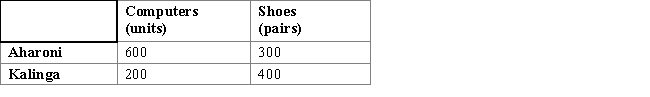 Suppose Aharoni and Kalinga are the only two countries in the world and they produce computers and shoes.Aharoni has 100 workers,and Kalinga has 200 workers.The table below shows the per-day production possibilities for each country.Aharoni has:​ ​ Table 17.1:   A) an absolute advantage in computers only. B) an absolute advantage in shoes only. C) a comparative advantage in computers. D) a comparative advantage in shoes. E) neither absolute advantage nor comparative advantage in computers.