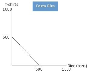 The figure below shows the production possibilities frontiers for rice and T-shirts for two countries, Costa Rica and United States. According to the figure below, in Costa Rica, the opportunity cost of 1 ton of rice is:​ ​ Figure 2.1 ​     A) 1/2 of a T-shirt. B) 3/4 of a T-shirt. C) 1 T-shirt. D) 11/2 T-shirts. E) 2 T-shirts.