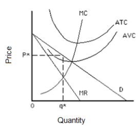 Figure 10.2 shows a firm that charges price P* for output q*. In order to minimize loss in the short run, the firm should:​ ​ Figure 10.2. ​   A) shut down because price is greater than average variable cost. B) shut down because price is greater than marginal cost. C) shut down because price is less than marginal revenue. D) continue to produce because price is greater than average variable cost. E) continue to produce because price is greater than marginal cost.