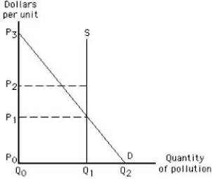 The following graph shows the optimal allocation of pollution rights to firms polluting a river. If the government sells the right to pollute a river, _____.​ ​ Figure 17.5 ​   A) firms will emit Q<sub>1</sub> units of the pollutant at a price of P<sub>0</sub> each B) firms will emit Q<sub>2</sub> units of the pollutant at a price of P<sub>0</sub> each C) firms will emit Q<sub>0</sub> units of the pollutant at a price of P<sub>3</sub> each D) firms will emit Q<sub>1</sub> units of the pollutant at a price of P<sub>1</sub> each​ E) firms will emit Q<sub>2</sub> units of the pollutant at a price of P<sub>3</sub> each​