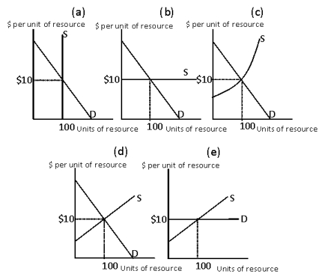 Exhibit 11-1   -Condider Exibit 11-1. Each of the panels depict the supply and demand conditions in a resource market. In which of the panels will the resource earnings be entirely economic rent? A)  panel (a)  B)  panel (b)  C)  panel (c)  D)  panel (d)  E)  panel (e) 