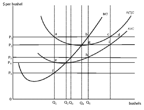 Exhibit 8-19 A Single Firm in a Perfectly Competitive Market   -Exhibit 8-19 shows the demand and cost situation facing a single perfectly competitive firm. If P<sub>5 </sub>represents the equilibrium market price. What is the profit-maximizing quantity for the firm? A)  Q<sub>1</sub> bushels B)  Q<sub>2</sub> bushels C)  Q<sub>3</sub> bushels D)  Q<sub>4</sub> bushels E)  0 bushels