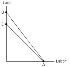 Exhibit 7-18   -In Exhibit 7-18, the rotation from AC to AB reflects a(n)  A)  increase in the price of labor B)  increase in the price of land C)  decrease in the price of labor D)  decrease in the price of land E)  increase in the amount the producer can spend