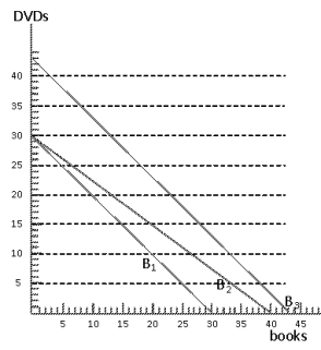 Exhibit 6-26   -Consider Exhibit 6-26. Three budget lines are shown. Which of the following statements is true about the budget lines? A)  Budget line B<sub>2</sub> reflects the same income and price for DVDs as budget line B<sub>1</sub> but a higher price for books. B)  Budget line B<sub>3</sub> reflects a higher income but the same price for both books and DVDs as budget line B<sub>2</sub>. C)  Budget line B<sub>3</sub> reflects higher income and the same prices for both books and DVDs as budget line B<sub>1</sub>. D)  Budget line B<sub>1</sub> reflects lower income than budget line B<sub>2</sub>. E)  Budget line B3 reflects a lower price ration than budget line B<sub>3</sub>.