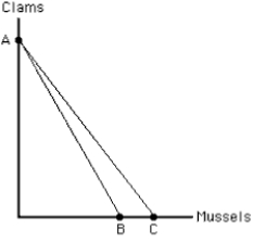 <strong>Exhibit 6-28   The rotation of the budget line in Exhibit 6-28 from AC to AB represents a(n)</strong> A) increase in the price of clams B) increase in the price of mussels C) decrease in the price of clams D) decrease in the price of mussels E) increase in the amount the consumer can spend <div style=padding-top: 35px> 