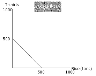 Exhibit 2-11     -Refer to exhibit 2-11. The United States has an absolute advantage in bothe the production of T-shirts and rice.