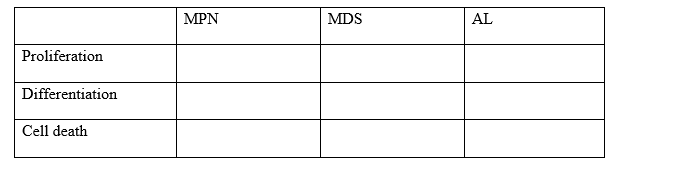 Compare and contrast MPN,MDS,and acute leukemia with regard to proliferation,differentiation,and cell death.   