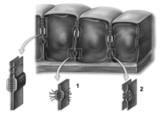   -This figure shows different types of intercellular junctions.Note the fine web of protein filaments associated with the junction indicated by number 1.What type of junction is this? A) Gap junction B) Desmosome C) Tight junction D) Adhering junction