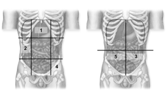   -These figures show a frontal view of the abdominopelvic cavities.Which number indicates the epigastric region? A) 1 B) 2 C) 3 D) 4 E) 5
