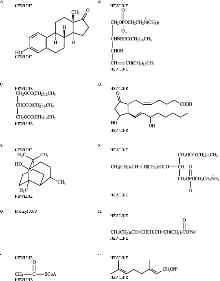 Instructions: Match each of the given terms to a structure from the list below.There is only one correct structure for each term,and structures may be used more than once.   