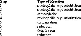 The following sequence represents the steps in the biosynthesis of fatty acids.      