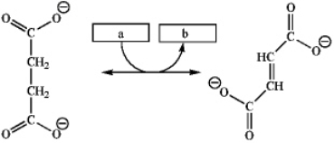 Which group of small molecules best fit the boxes associated with the reaction shown?   A b A) ADP + 2 P<sub>i</sub> ATP B) NAD<sup>+</sup> NADH C) ATP ADP + 2 P<sub>i</sub> D) FAD FADH<sub>2</sub>