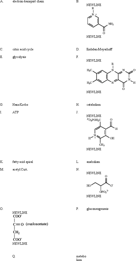 Instructions: Match a term or structure from the list below to each of the following definitions or names.   
