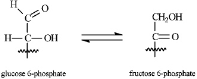 Instructions: Consider the reaction below to answer the following question(s).     -Refer to instructions.This reaction proceeds through a common enol structure.Draw the structure of the glucose/fructose enol. 