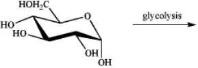 Draw the structure of the ultimate organic glycolysis product of a-glucose.  
