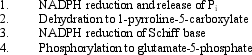 The appropriate sequence in the biosynthesis of proline from glutamate is:   A) 4,2,1,3 B) 4,1,2,3 C) 1,4,3,2 D) 1,4,2,3 E) 2,3,1,4