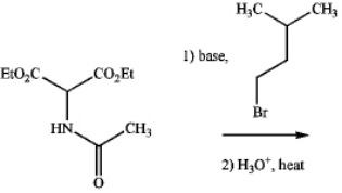 Which amino acid results from the following sequence of transformations? 