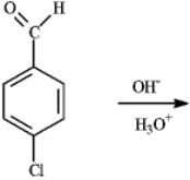 Draw the product(s)of the following reaction.  