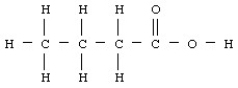 Butyric acid has the structural formula given below.   What is the molecular or chemical formula for butyric acid? A) CHO B) C<sub>2</sub>H<sub>4</sub>O C) C<sub>4</sub>H<sub>8</sub>O<sub>2</sub> D) C<sub>5</sub>H<sub>8</sub>O<sub>3</sub>