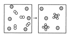 The following diagram represents the reaction of A<sub>2</sub> (unshaded spheres) with B (shaded spheres) .What is the balanced chemical equation for this reaction,and what is the limiting reactant?   A) 2A<sub>2</sub> + B → A<sub>4</sub>B;A<sub>2</sub> is the limiting reactant. B) 2A<sub>2</sub> + B → A<sub>4</sub>B;B is the limiting reactant. C) 4A<sub>2</sub> + 6B → 2A<sub>4</sub>B;A<sub>2</sub> is the limiting reactant. D) 4A<sub>2</sub> + 6B → 2A<sub>4</sub>B;B is the limiting reactant.