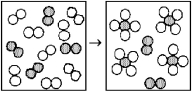 The following diagrams represent the reaction of A<sub>2</sub> (shaded spheres) with B<sub>2</sub> (unshaded spheres) .Identify the limiting reactant and write a balanced equation for the reaction.   A) A<sub>2</sub> is the limiting reactant;A + 4 B → AB<sub>4</sub>. B) A<sub>2</sub> is the limiting reactant;A<sub>2</sub> + 4 B<sub>2</sub> → 2 AB<sub>4</sub>. C) B<sub>2</sub> is the limiting reactant;A + 4 B → AB<sub>4</sub>. D) B<sub>2</sub> is the limiting reactant;A<sub>2</sub> + 4 B<sub>2</sub> → 2 AB<sub>4.</sub>