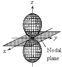 For the fourth-shell orbital shown below,what are the principal quantum number,n,and the angular momentum quantum number,l?   A) n = 4 and l = 0 B) n = 4 and l = 1 C) n = 4 and l = 2 D) n = 4 and l = 3