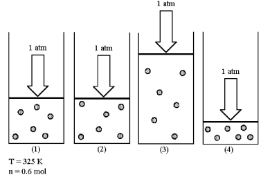 Assume that you have a sample of gas in a cylinder with a moveable piston,as shown in diagram (1) .The initial pressure,number of moles,and temperature of the gas are noted on the diagram.Which diagram (2) -(4) most closely represents the result of doubling the temperature while keeping the pressure and number of moles of gas constant?   A) diagram (2)  B) diagram (3)  C) diagram (4) 